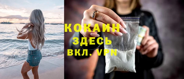 индика Балабаново