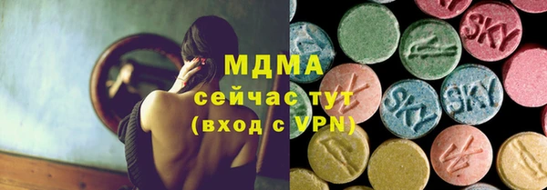 шишки Белокуриха