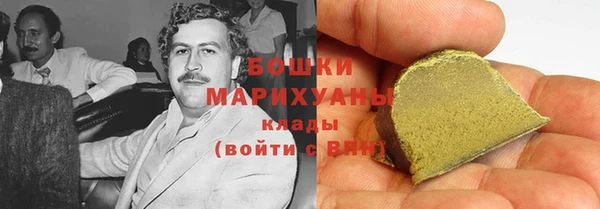 шишки Белокуриха