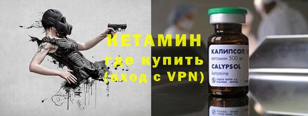 шишки Белокуриха
