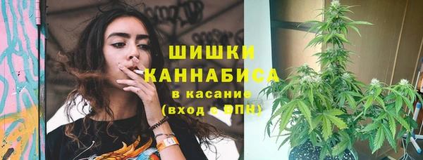 шишки Белокуриха