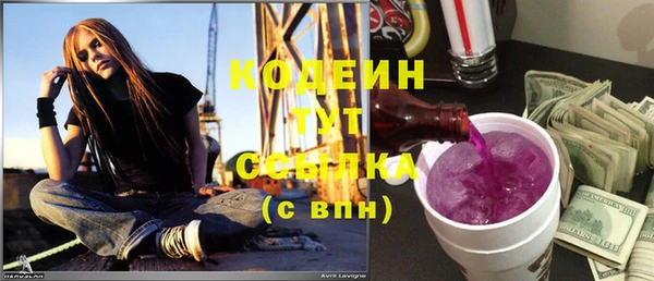 шишки Белокуриха