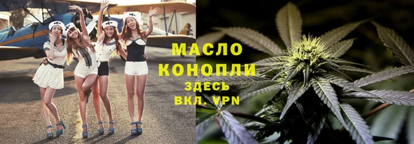 шишки Белокуриха