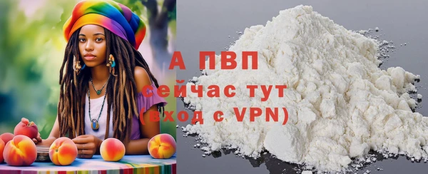 шишки Белокуриха