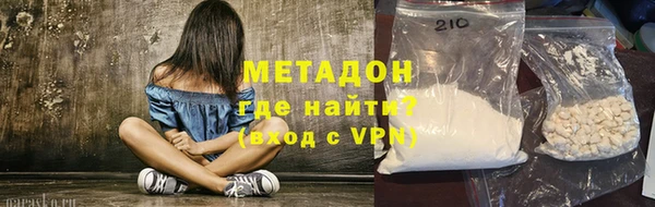 шишки Белокуриха